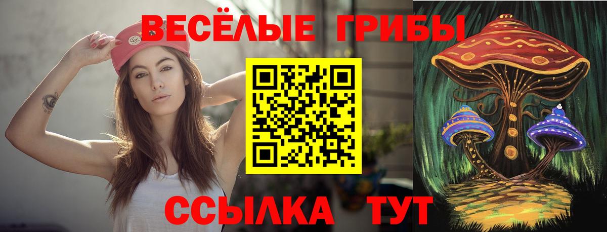 Псилоцибиновые грибы GOLDEN TEACHER Тамбов