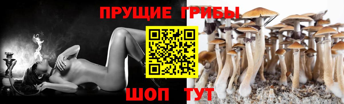 Тамбов  Галлюциногенные грибы GOLDEN TEACHER  Вход с VPN 